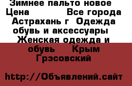 Зимнее пальто новое › Цена ­ 2 500 - Все города, Астрахань г. Одежда, обувь и аксессуары » Женская одежда и обувь   . Крым,Грэсовский